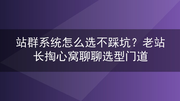 站群系统选型避坑指南:老站长的实战经验分享