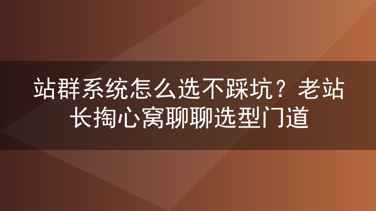 站群系统怎么选不踩坑？老站长掏心窝聊聊选型门道