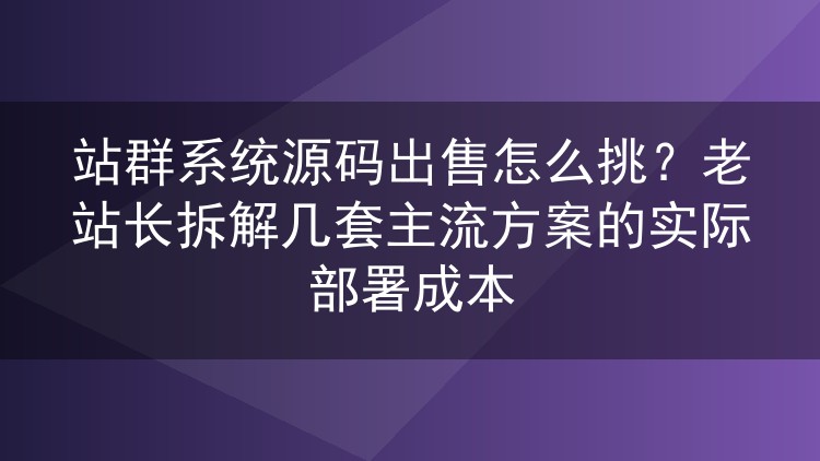 站群系统源码出售怎么挑？老站长拆解几套主流方案的实际部署成本