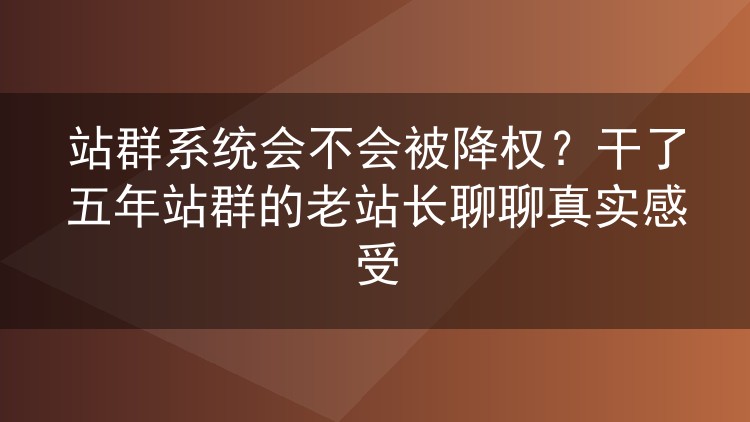 站群系统会不会被降权？干了五年站群的老站长聊聊真实感受