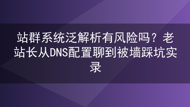 站群系统泛解析有风险吗？老站长从DNS配置聊到被墙踩坑实录