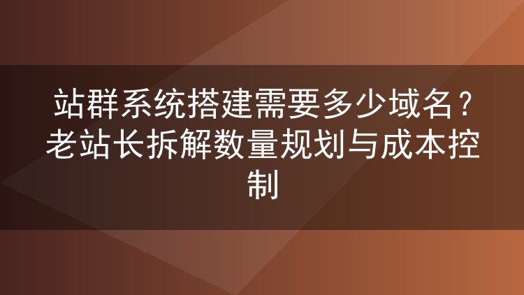 站群系统搭建需要多少域名?老站长拆解数量规划与成本控制