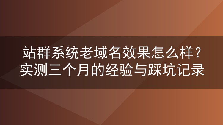 站群系统搭配老域名实际效果如何？三个月实测数据与避坑复盘