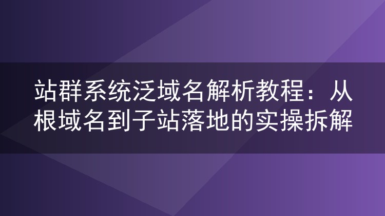 站群系统泛域名解析教程:从根域名到子站落地的实操拆解