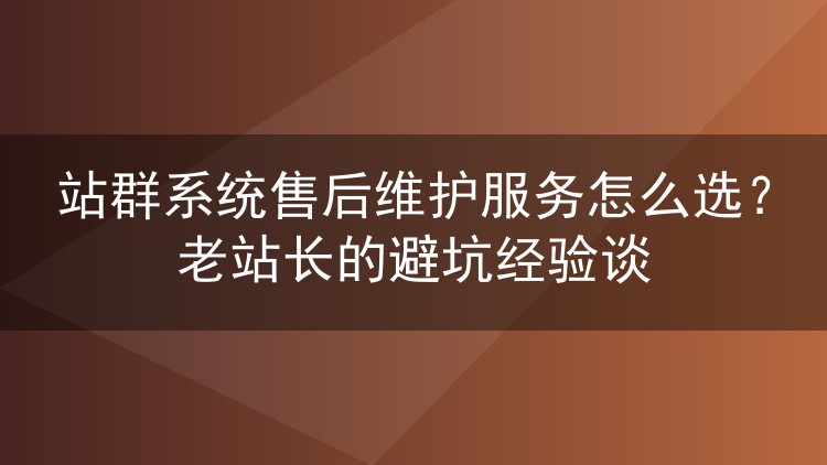 站群系统售后维护服务怎么选？老站长的避坑经验谈