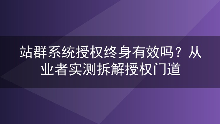 站群系统终身授权靠谱吗？老站长拆解授权规则与常见套路