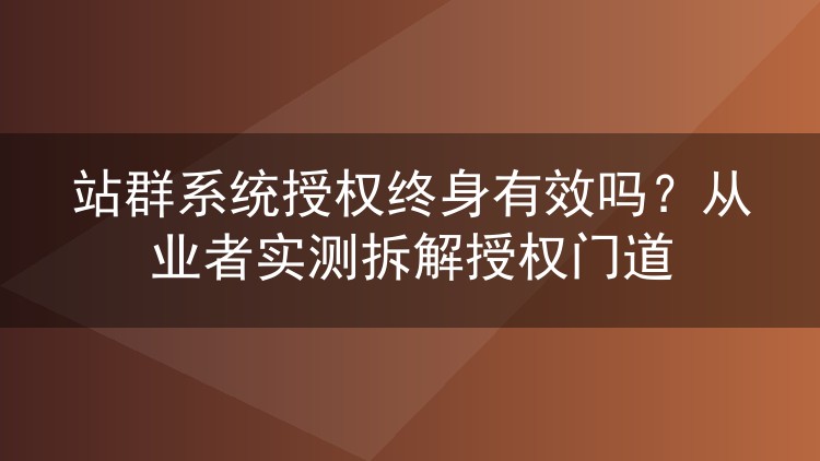站群系统授权终身有效吗？从业者实测拆解授权门道