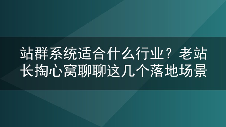 站群系统适合哪些行业？干了十年站群的老手聊几个真实落地场景