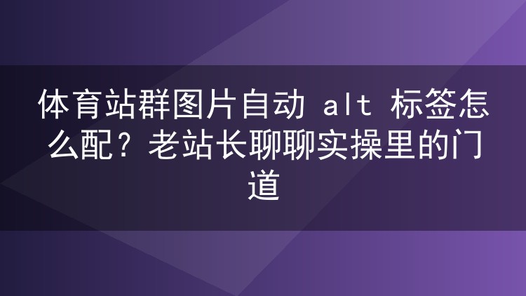 体育站群图片alt标签自动生成实战:从规则设计到落地避坑