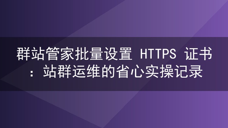 几十个站点证书怎么批量配？群站管家实操全记录