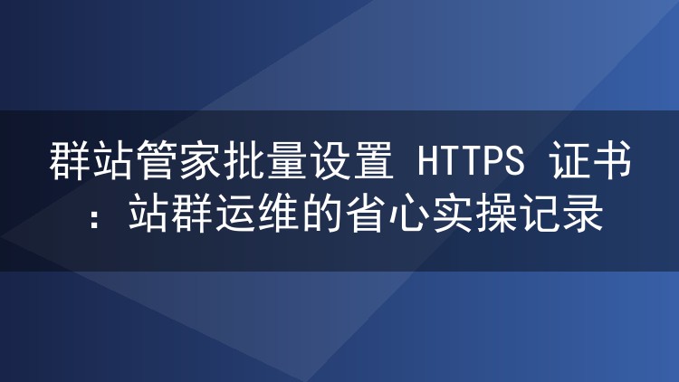 群站管家批量设置 HTTPS 证书:站群运维的省心实操记录