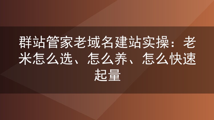 群站管家老域名建站实操：老米怎么选、怎么养、怎么快速起量