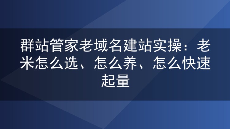 群站管家搭配老域名建站全流程：从选米验米到批量起量的实操心得