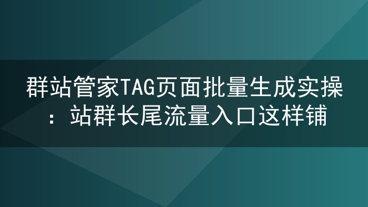 群站管家TAG页面批量生成实操：站群长尾流量入口这样铺