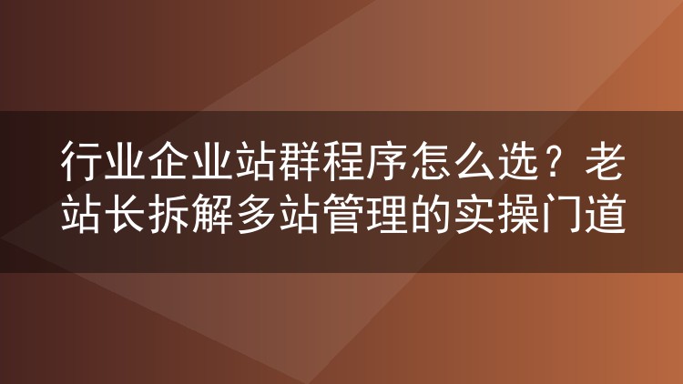 行业企业站群程序怎么选?老站长拆解多站管理的实操门道