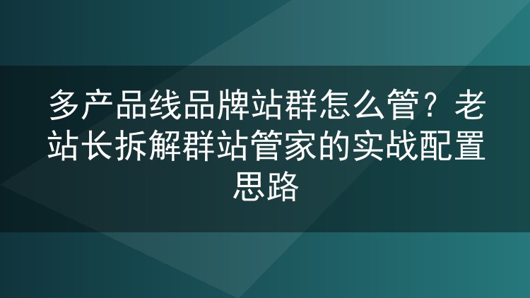 多产品线品牌站群怎么管？老站长拆解群站管家的实战配置思路