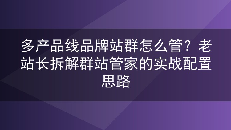 多产品线品牌站群怎么管?老站长拆解群站管家的实战配置思路
