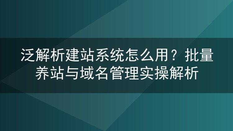 泛解析建站系统怎么用？批量养站与域名管理实操解析