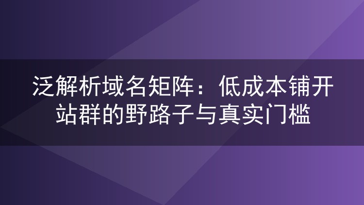 泛解析域名矩阵：低成本铺开站群的野路子与真实门槛