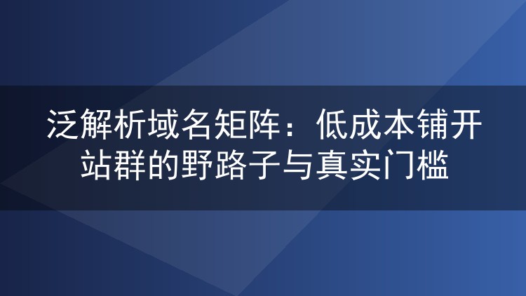 泛解析域名矩阵：低成本铺开站群的野路子与真实门槛