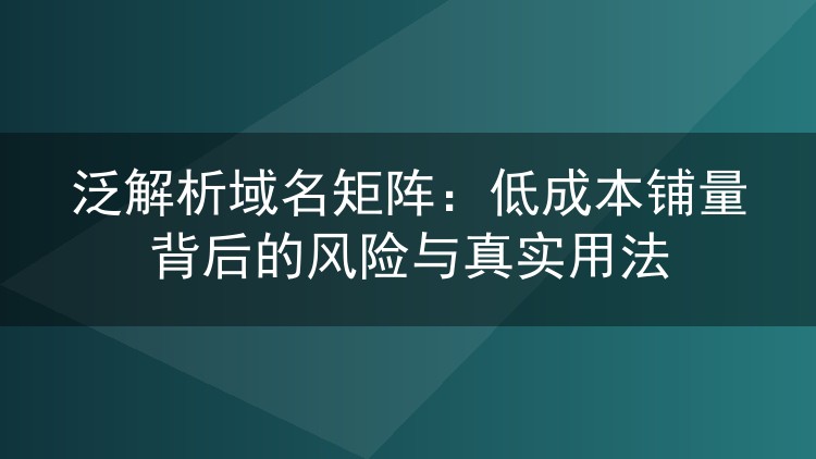泛解析域名矩阵:低成本铺量背后的风险与真实用法