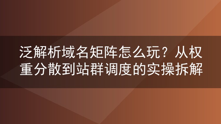 泛解析域名矩阵怎么玩?从权重分散到站群调度的实操拆解