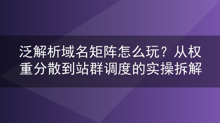 泛解析域名矩阵怎么玩？从权重分散到站群调度的实操拆解
