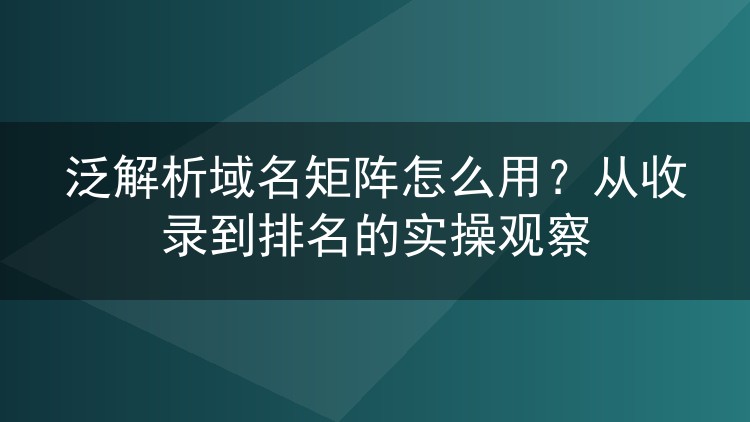 泛解析域名矩阵怎么用?从收录到排名的实操观察