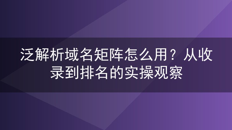 泛解析域名矩阵怎么用？从收录到排名的实操观察