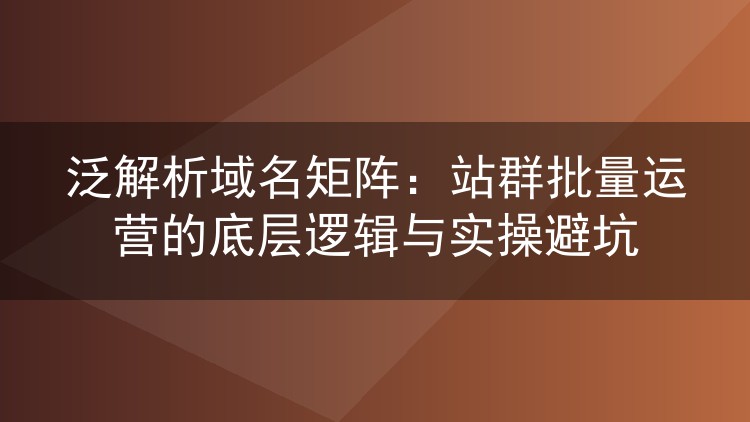 泛解析域名矩阵：站群批量运营的底层逻辑与实操避坑