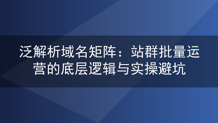 泛解析域名矩阵:站群批量运营的底层逻辑与实操避坑