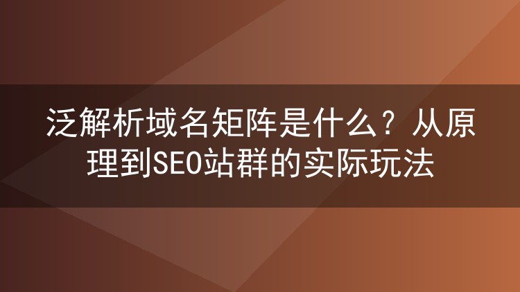 泛解析域名矩阵是什么?从原理到SEO站群的实际玩法