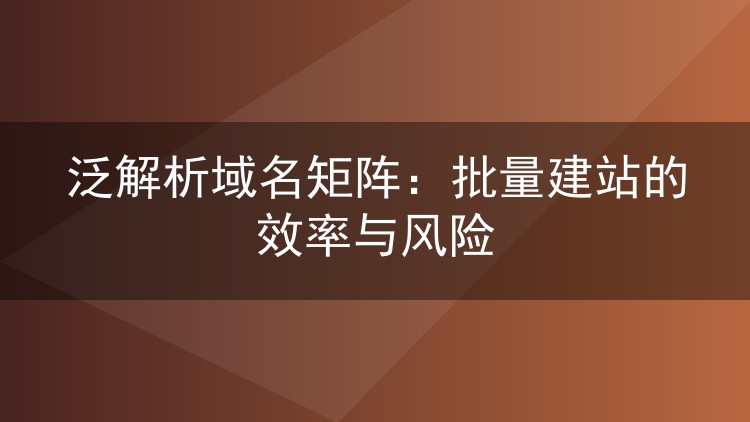 泛解析域名矩阵：批量建站的效率与风险