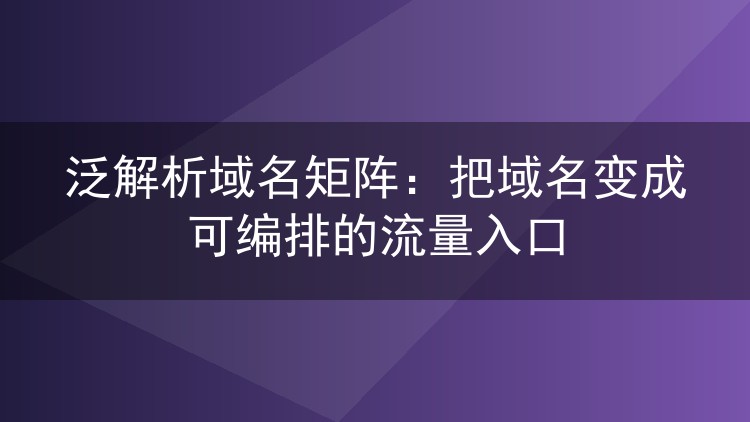 泛解析域名矩阵：把域名变成可编排的流量入口