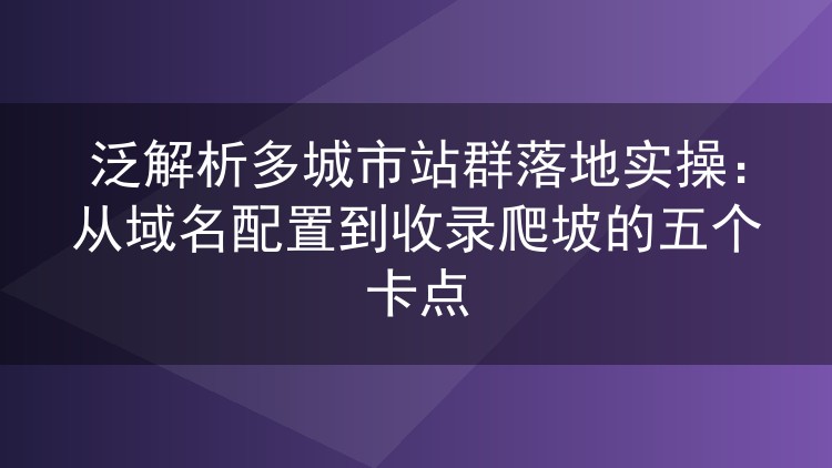 泛解析多城市站群落地实操:从域名配置到收录爬坡的五个卡点