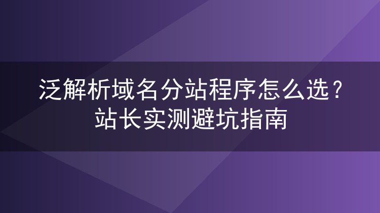 泛解析域名分站程序怎么选?站长实测避坑指南