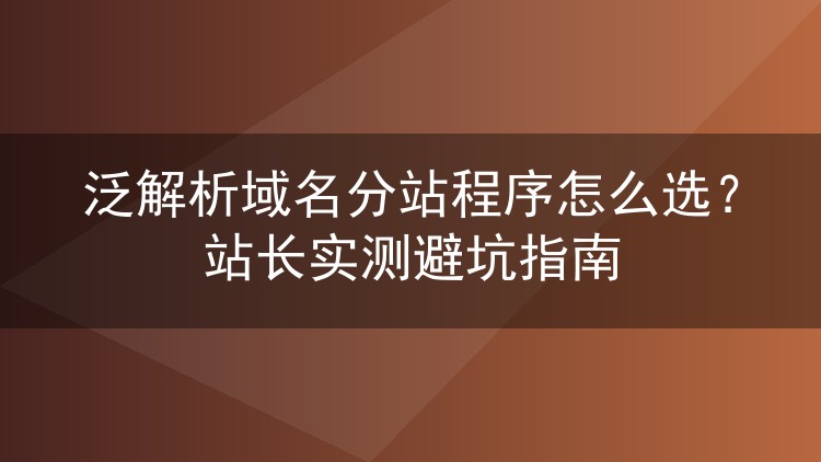 泛解析域名分站程序怎么选？站长实测避坑指南