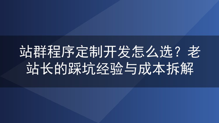站群程序定制开发怎么选？老站长的踩坑经验与成本拆解
