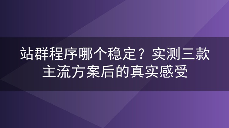 站群程序哪个稳定？实测三款主流方案后的真实感受
