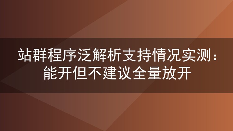 站群程序泛解析支持情况实测:能开但不建议全量放开