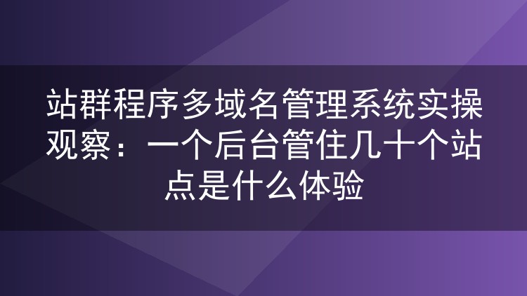 站群程序多域名管理系统实操观察:一个后台管住几十个站点是什么体验