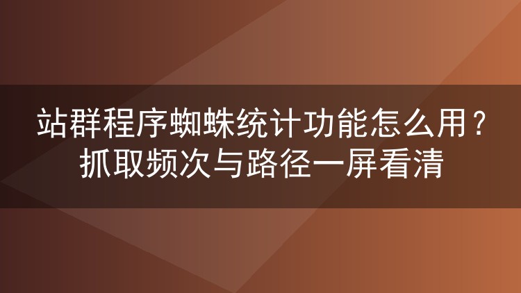 站群程序蜘蛛统计功能怎么用？抓取频次与路径一屏看清