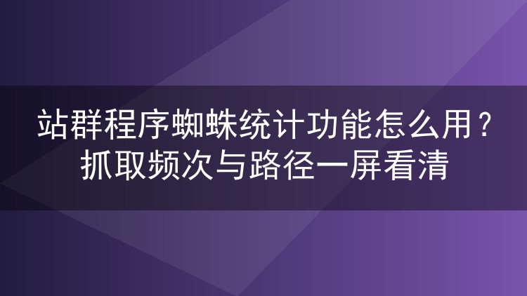 站群程序蜘蛛统计功能怎么用?抓取频次与路径一屏看清