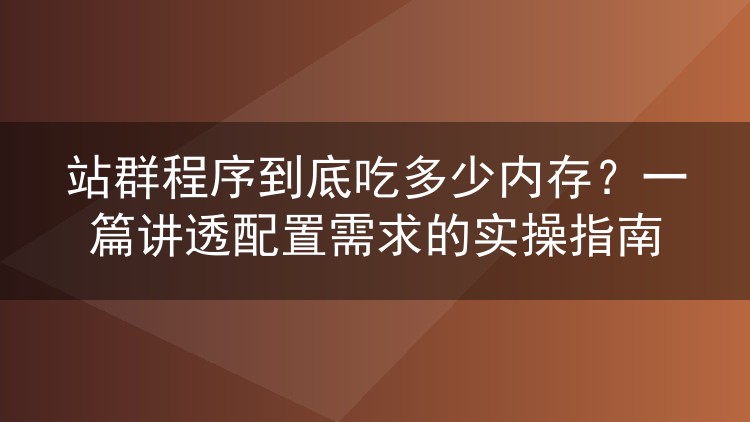 站群程序到底吃多少内存？一篇讲透配置需求的实操指南