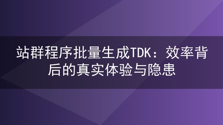 站群程序批量生成TDK:效率背后的真实体验与隐患