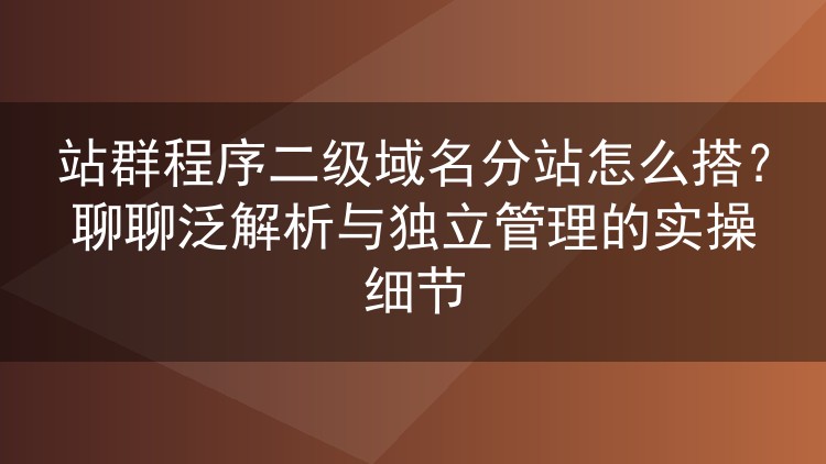 站群程序二级域名分站怎么搭?聊聊泛解析与独立管理的实操细节