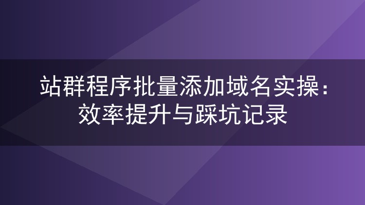 站群程序批量添加域名实操:效率提升与踩坑记录