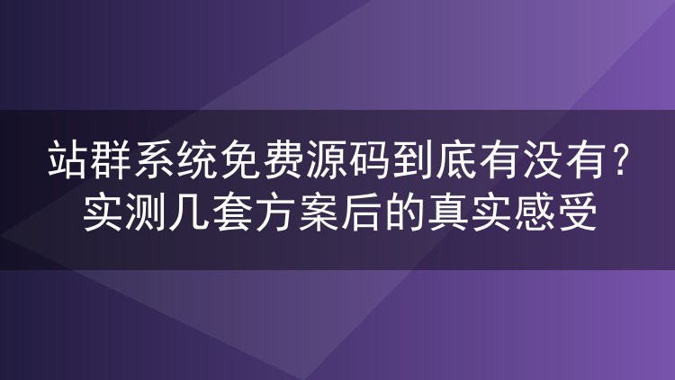 站群系统免费源码到底有没有？实测几套方案后的真实感受