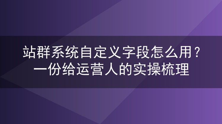 站群系统自定义字段怎么用？一份给运营人的实操梳理