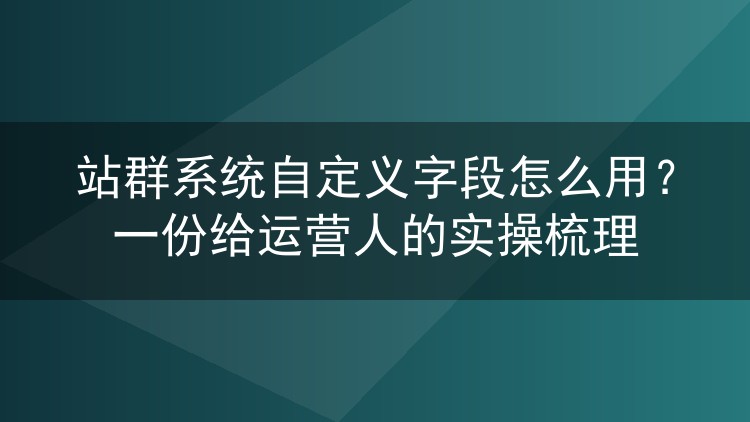 站群系统自定义字段怎么用?一份给运营人的实操梳理